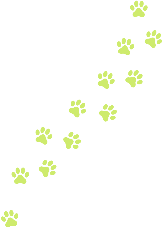 paw-2