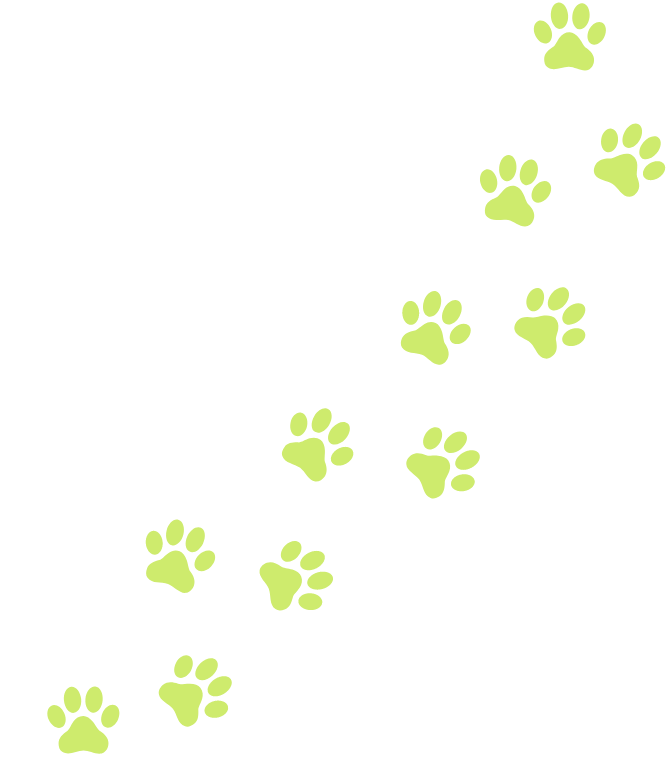 paw-1